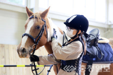 중원대 승마교육원, 승마체험 운영