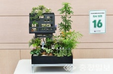 16회 생활원예 고수들의 힐링 작품