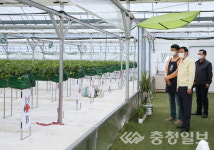 충주 메디푸드 병풀, 딸기 스마트팜 미래농업 선도