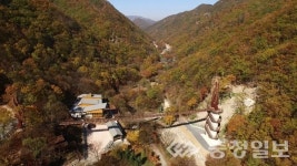 금산산림문화타운 12일부터 운영 재개