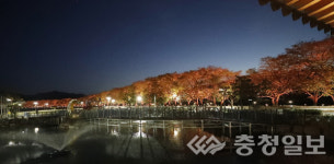 괴산 청안면, 벚꽃 길 경관조명 점등식 열어