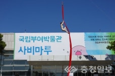 관객이 선정한 보고 싶은 공연, 동춘서커스