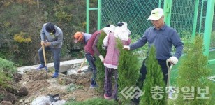 금산군, 막현리 측백나무 산촌마을 조성