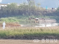 천안 봉강천ㆍ곡교천ㆍ병천천ㆍ풍서천 하천 양쪽 3㎞내  AI 특별관리지역 지정