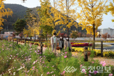 가을로 물든 영동 노근리평화공원, 낭만과 정취 가득