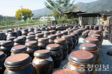 증평 장이익어가는마을, 절임배추 예약판매