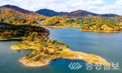 가을 비대면 관광지 100선… 동구8경 두 곳 선정