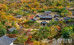 가을 비대면 관광지 100선… 동구8경 두 곳 선정