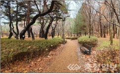 동구, 가오근린공원 새단장