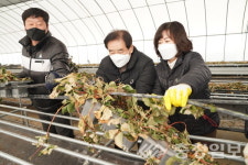 진천군, 2021년 생산적 일손봉사 시동