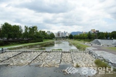유성구, 생태복원형 하천 녹화사업 추진