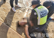 대천해수욕장에 빠진 남성, 관광객·보령해경이 극적으로 구조