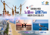 대천해수욕장 광장 2개소 명칭 변경노을광장, 갈매기광장