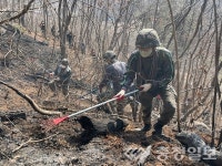 육군 37사단, 영동 산불현장 잔불 제거작전 투입 활약