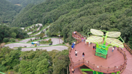 네이버 검색 결과 사진 5