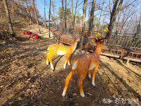 아산시 영인산 무장애 나눔길 우수상