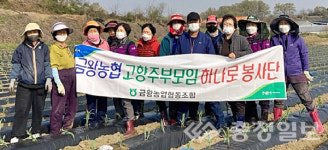 음성 금왕농협 고향주부모임, 일손돕기 전개