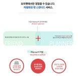 강아지 분양 전문 요미펫, 반려동물 만나기 전 준비할 것들 조언해