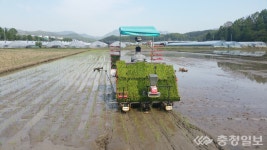 대전 학하동서 첫 모내기 시작