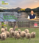 생생정보 강성진, 경기도 가볼만한곳 양평 소개 양떼목장·용문산