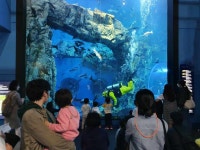 단양다누리아쿠아리움, 가정의 달 이벤트 풍성