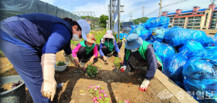 불법 투기 도로변 쓰레기 집하장, 꽃밭으로 재탄생