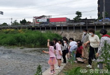 충주 동량면자치위, 조동천 EM흙공 던지기 행사