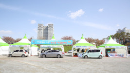 서산시, 팔봉산 감자축제 서산6쪽마늘축제비대면전환