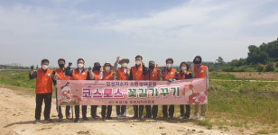 천안시 부성1동 주민자치위 코스모스 꽃길 조성