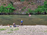 다슬기 채취 본격 시작... 안전 주의보