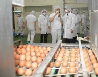 김강립 식약처장, 진천 식용란선별포장업체 방문