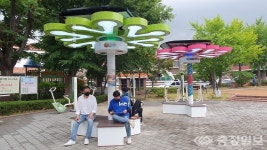 대덕구, 스마트 솔라트리 설치 전력↑ 미세먼지↓