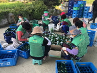 예산군 삽교읍, 2/4분기 숨은 자원 모으기 행사 실시