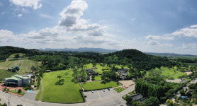 예산군 추사고택 일대, 초록빛 싱그러움 한가득