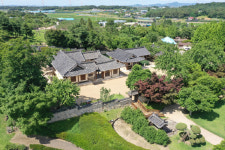 예산군 추사고택 일대, 초록빛 싱그러움 '한가득'