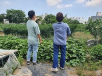 청주 산남동행정복지센터, 폭염 대비 예찰활동