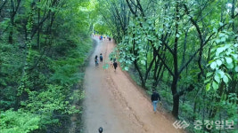 대전스카이로드서 숲과 함께하는 대전의 힐링명소 영상전 연다.