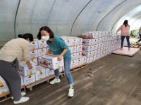 도청이전주민생계조합, 예산군 삽교읍에 고구마 1000kg 기탁