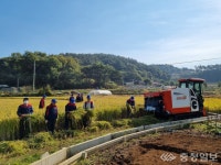 서부면 노인회, 수확의 기쁨 나눠