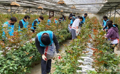 (주)새손 광원전자점 | 진천군 공직자, 주말 반납 생산적 일손봉사