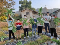 주식회사 자람씨네텃밭 | 서촌초, 꿈자람 친환경 텃밭 수확