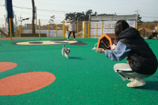 태안군, 로컬푸드 직매장반려동물 놀이터 인기