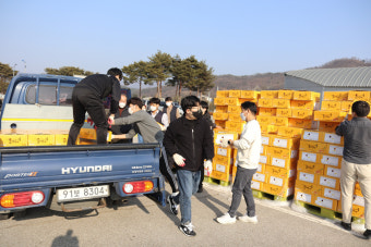 보은군, 경로당에 양곡 대신'귤'전달