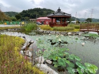 당진시 충남도 도랑살리기 운동 우수기관  선정 