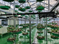 영동군농업기술센터, 스마트 농업 육성 박차