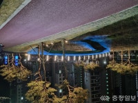 계룡시, 대실지구 근린공원 LED 야간경관 조성 큰 호응