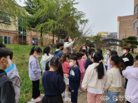 명천초, 학교 숲에서 생태보물을 찾아요