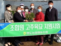 청주 현도농협, 조합원 고추육묘 지원사업  