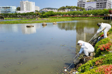 서산시, 하절기 방역·소독 강화