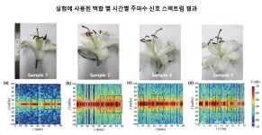 세계 최초 꽃향기 실시간 측정 꽃향기 이젠 눈으로 본다